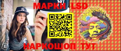 прущие крисы Шахты