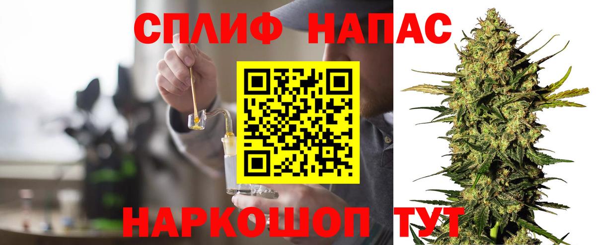 Марихуана сатива Торжок